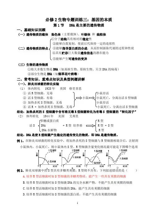 高考生物一轮复习——基因的本质
