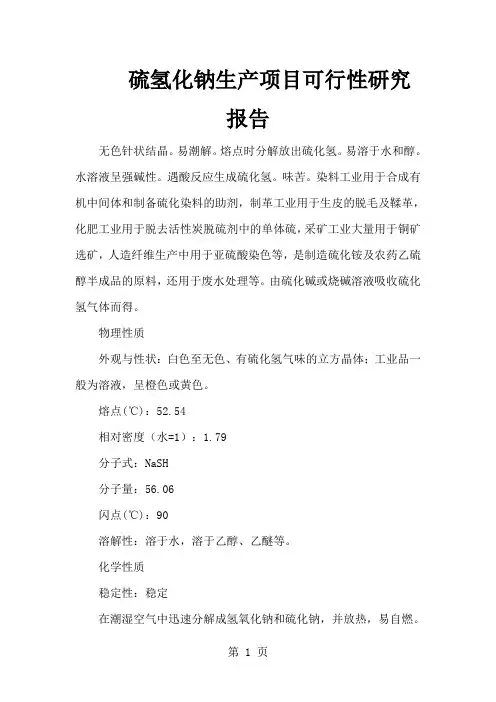 【2019年整理】硫氢化钠生产项目可行性研究报告-28页精选文档