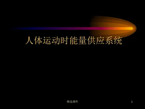 人体三大能量供应系统