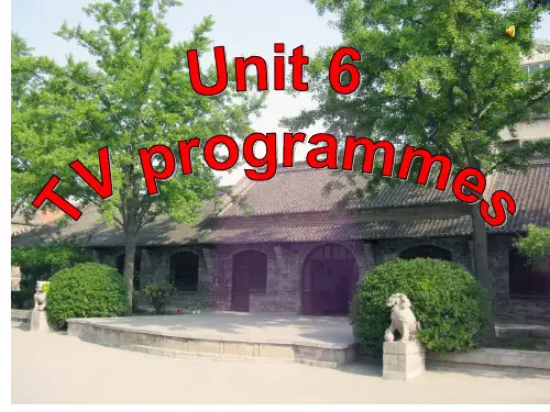 牛津译林版初三上册(9A)英语Unit 6 TV programms Reading II课件
