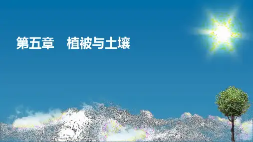 人教版高中地理必修第1册 第5章 第1节 植被