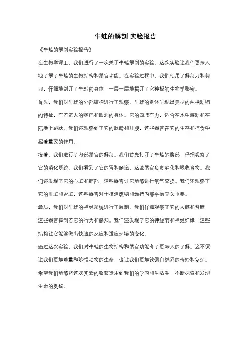 牛蛙的解剖 实验报告