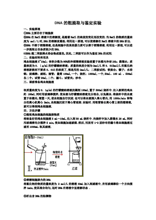 DNA粗提取和鉴定实验