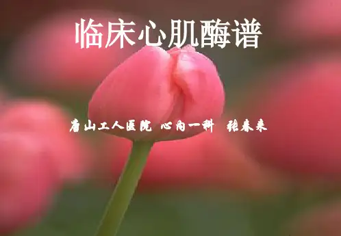 【全面版】心肌酶谱.pptPPT文档