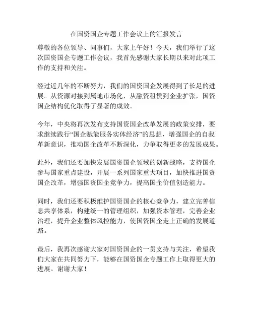 在国资国企专题工作会议上的汇报发言