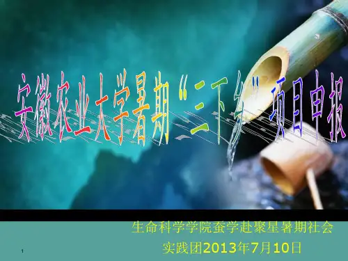 三下乡演讲答辩演讲PPT参考课件