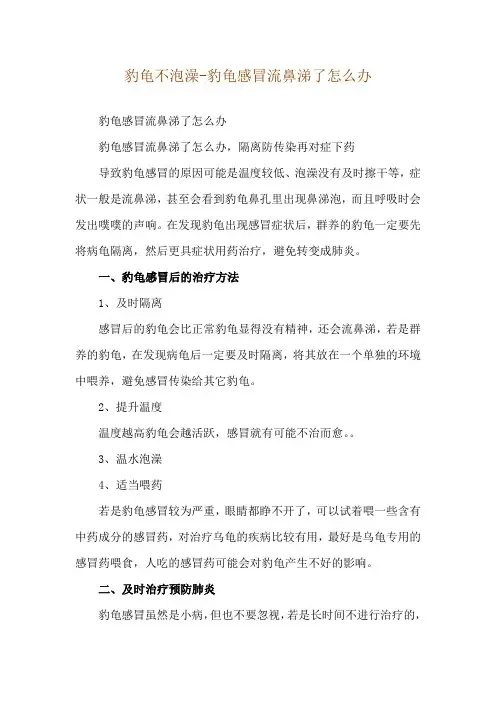 豹龟不泡澡-豹龟感冒流鼻涕了怎么办