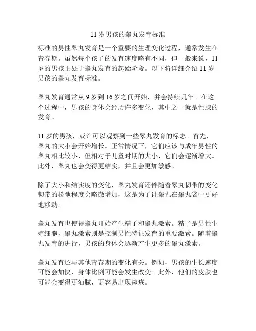 11岁男孩的睾丸发育标准