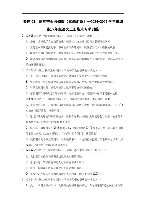 专题03：病句辨析与修改--2024-2025学年统编版八年级语文上册期末专项训练