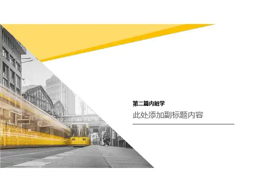 第二篇内脏学