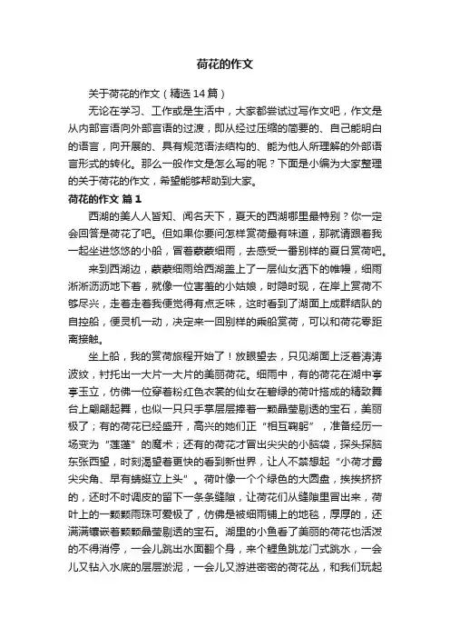 关于荷花的作文（精选14篇）