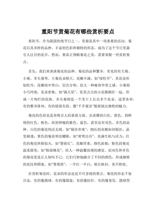 重阳节赏菊花有哪些赏析要点