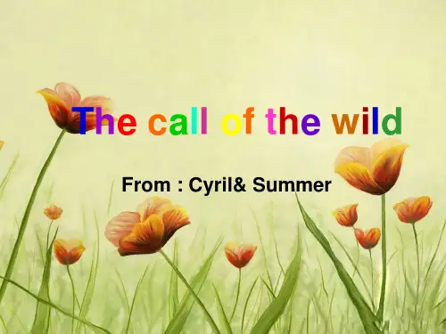 call of the wild 野性的呼唤 英文 PPT