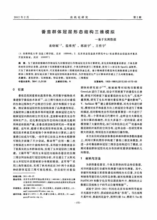 番茄群体冠层形态结构三维模拟——基于实测数据