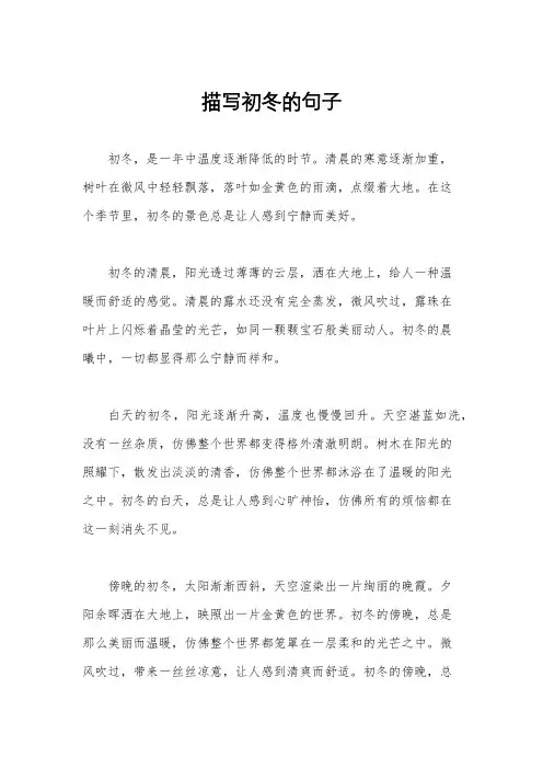 描写初冬的句子
