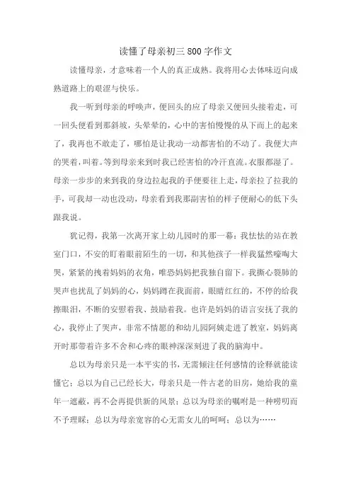 读懂了母亲初三800字作文
