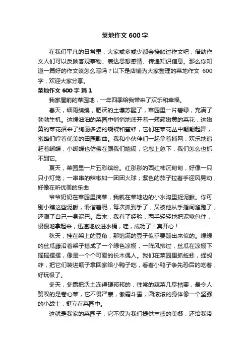 菜地作文600字
