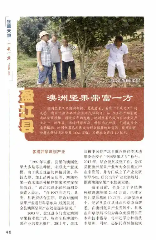 盈江县澳洲坚果带富一方