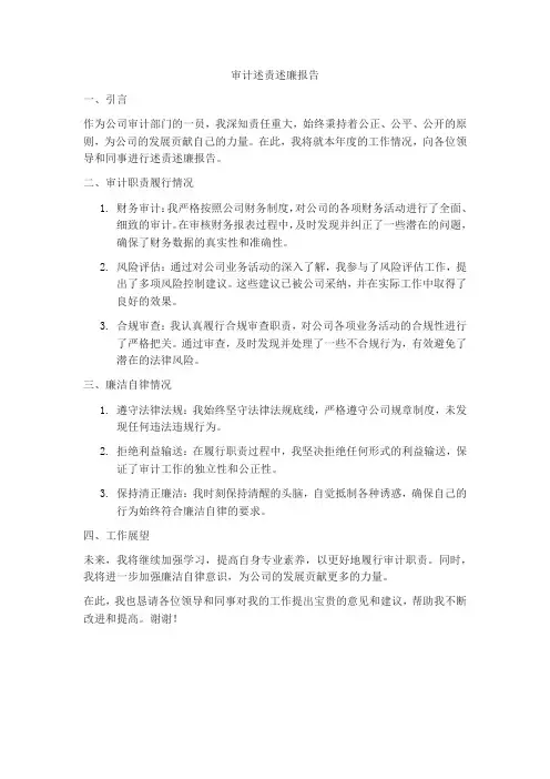 审计 述责述廉报告