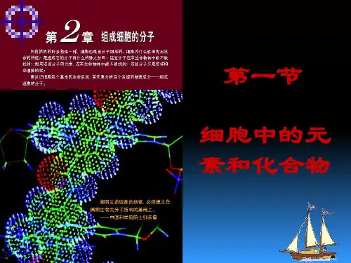 人教版高中生物必修一第二章第1节《细胞中的元素和化合物》优质课件(49张) (2)(共49张PPT)
