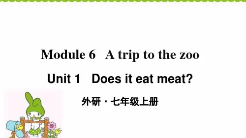 外研版七年级英语上册课件 Module 6 Unit 1优质课件