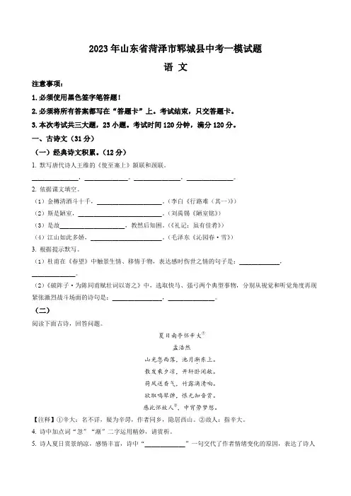 2023年山东省菏泽市郓城县中考一模语文试题(含答案与解析)
