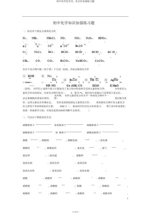 初中化学化学式、化合价强化练习题