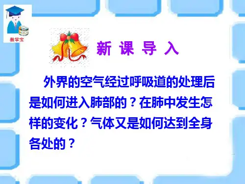 第二节  发生在肺内的气体交换