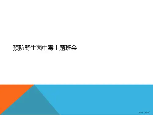 预防野生菌中毒主题班会PPT
