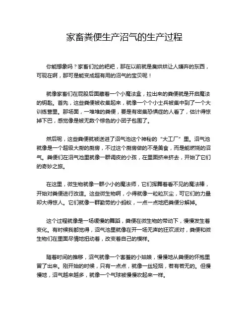 家畜粪便生产沼气的生产过程