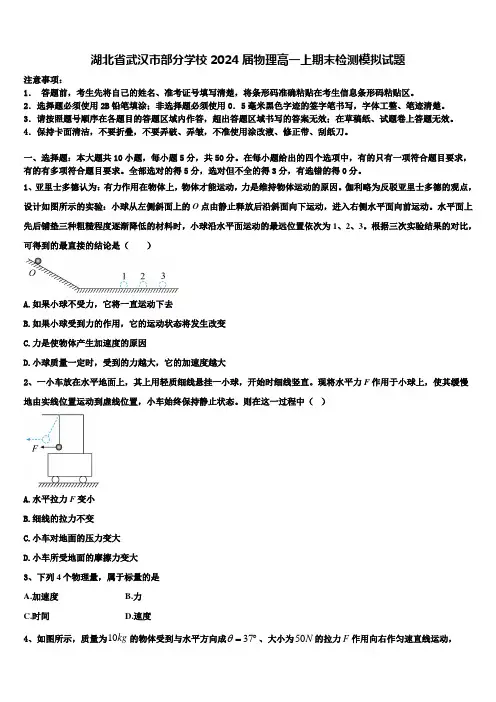 湖北省武汉市部分学校2024届物理高一上期末检测模拟试题含解析