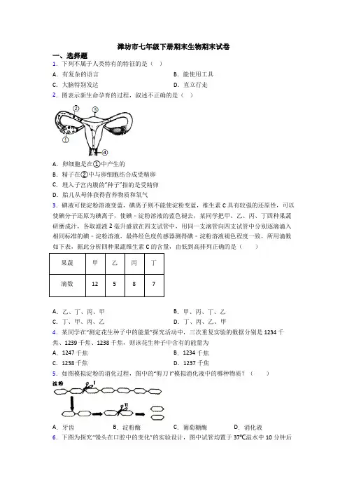 潍坊市七年级下册期末生物期末试卷