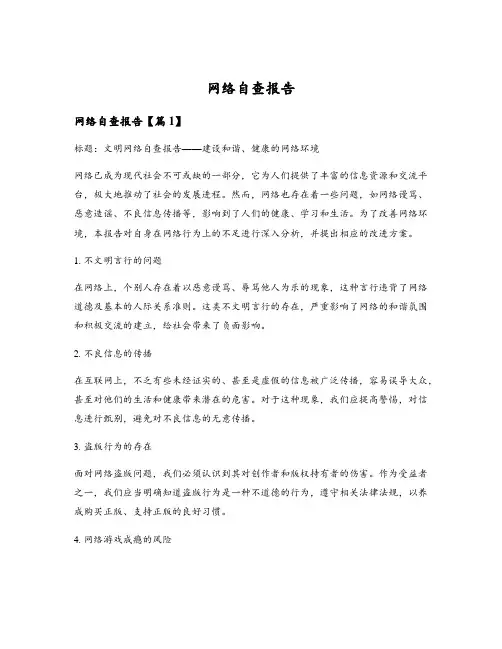 网络自查报告