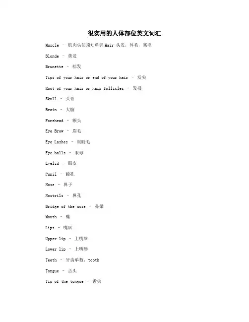 很实用的人体部位英文词汇