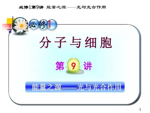 高三一轮复习生物课件人教必修1第9讲_能量之源――光与光合作用