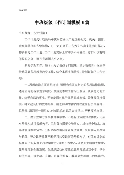 中班级级工作计划模板5篇