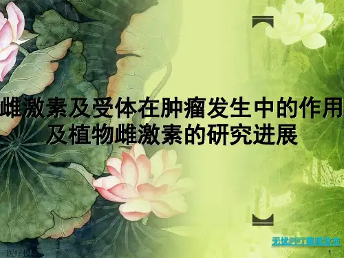 雌激素及雌激素受体简介[仅供参考]