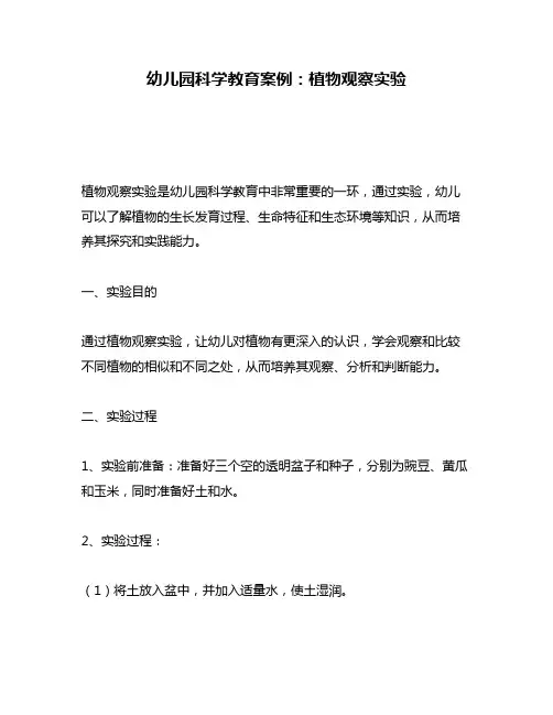 幼儿园科学教育案例：植物观察实验