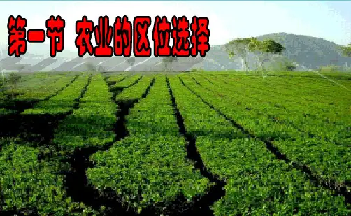 农业的区位选择PPT课件