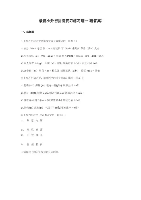 最新小升初拼音复习——声母韵母整体认读音节练习题(附答案)