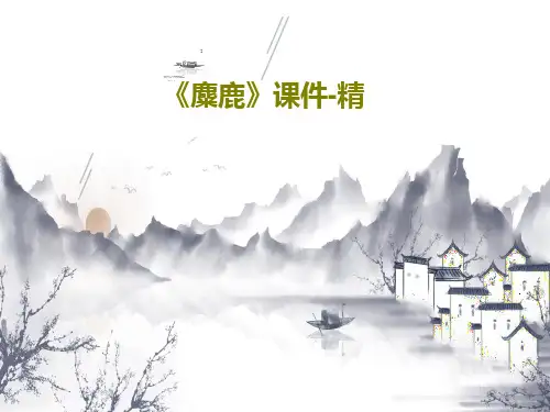 《麋鹿》课件-精PPT共18页