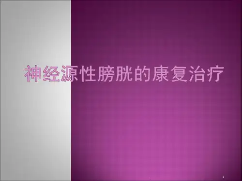 (精选课件)神经源性膀胱的康复PPT幻灯片