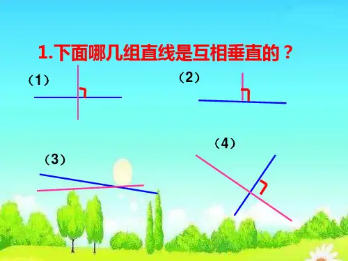 四年级上册数学课件8.7画垂线丨苏教版共10张PPT4