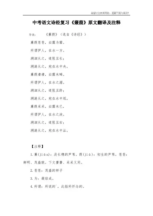 中考语文诗经复习《蒹葭》原文翻译及注释