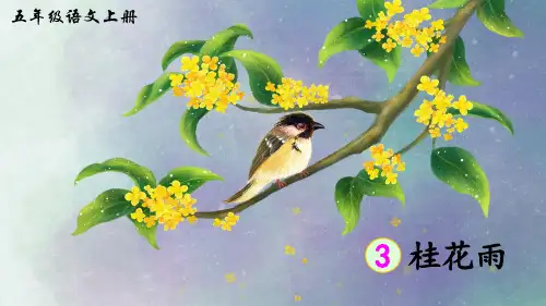 【最新】部编版五年级语文上册第3课《桂花雨》优秀课件