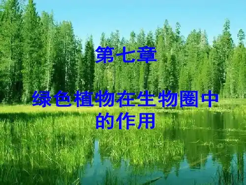 绿色植物在生物圈中的作用ppt课件
