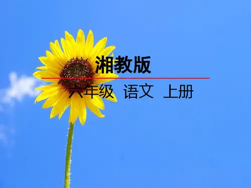 最新湘教版小学语文六年级上册课件：10表哥驾到课件 优质课件