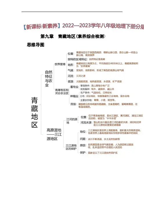 第九章 青藏地区(综合检测)八年级地理下册同步(人教版)