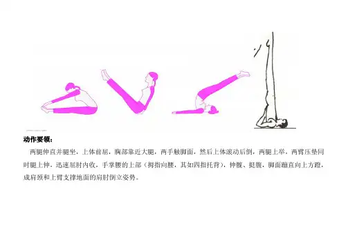 肩肘倒立动作要领图示