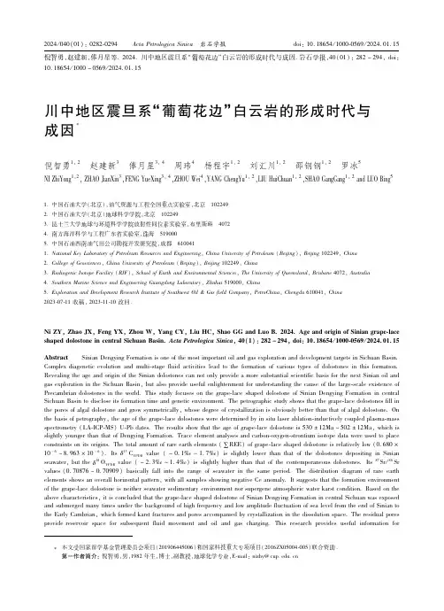 川中地区震旦系“葡萄花边”白云岩的形成时代与成因